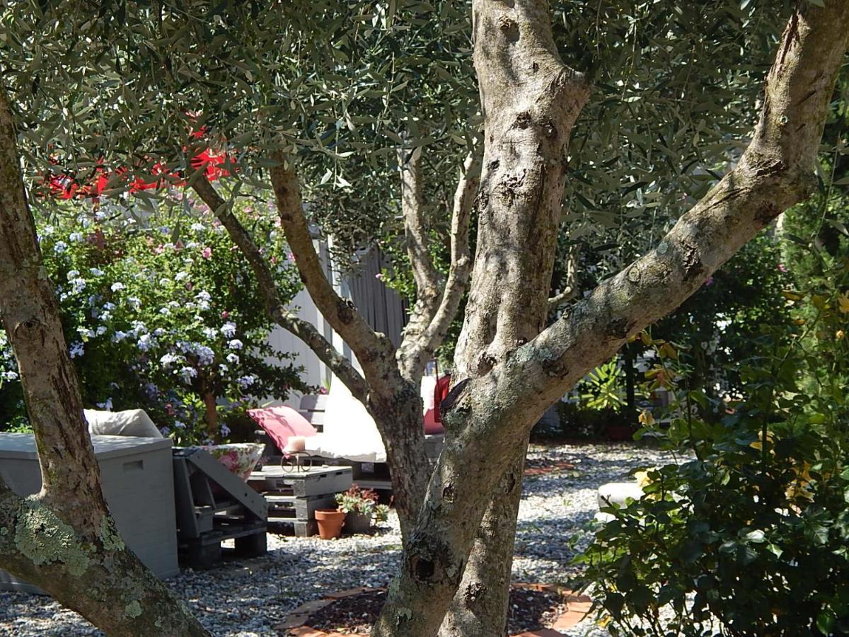B&B Pie Del Castello Levanto Buitenkant foto